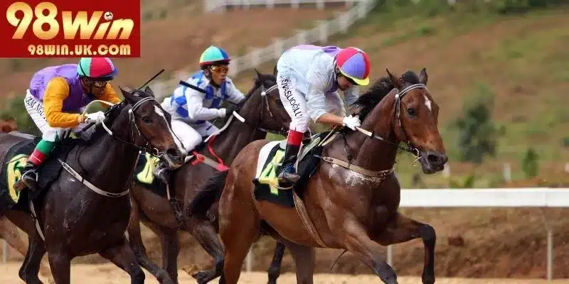 Một số kinh nghiệm đặt cược thể thao hiệu quả cho newbie